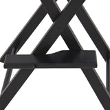 Makeup Artist Director's Chair Light Weight and Foldable Professional