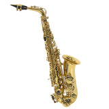 Professional Gold Eb Alto Sax Saxophone with Accessories